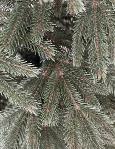 Ялинка новорічна смерека 1м.80см елка ель новая