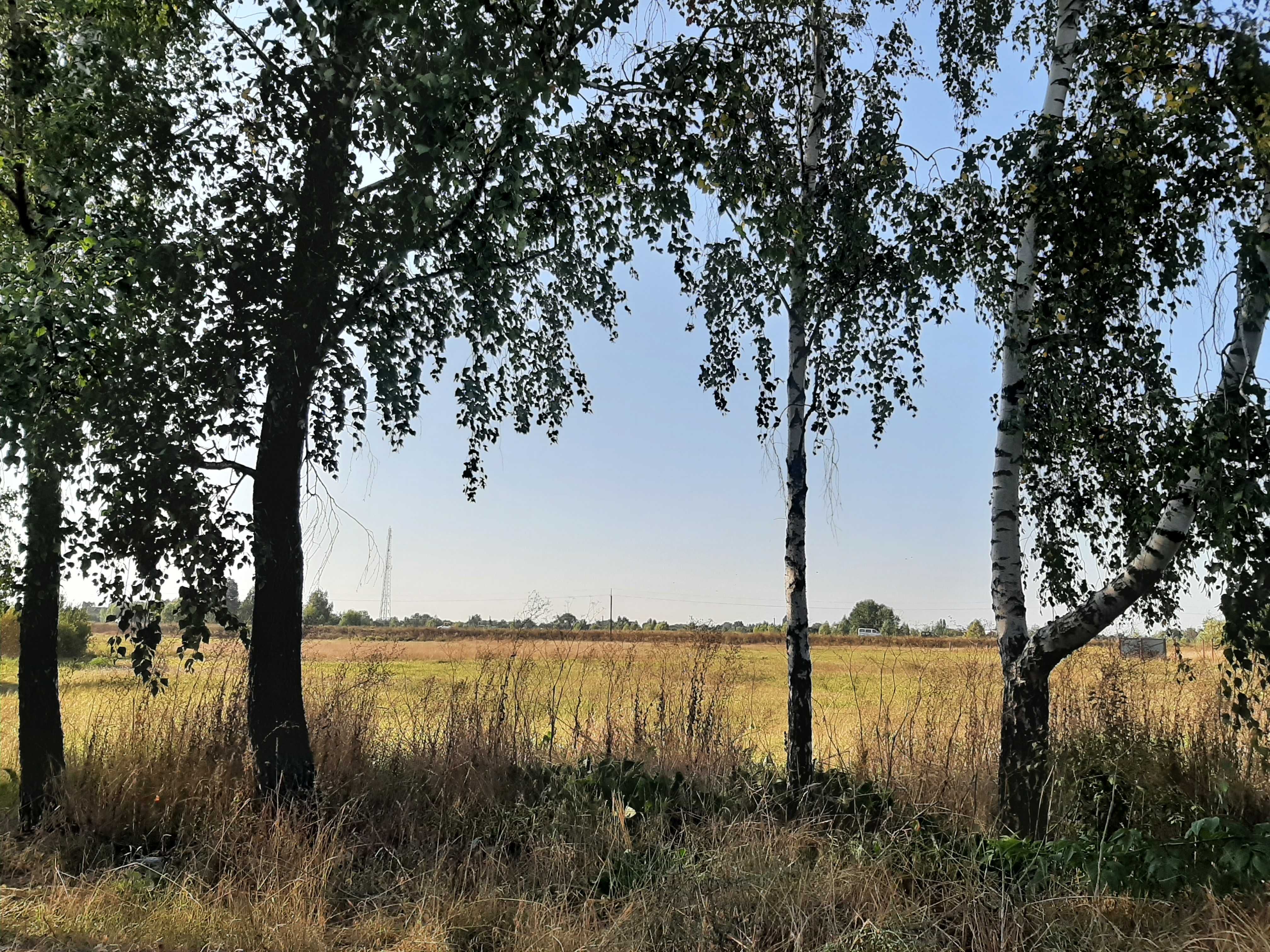 Продам шикарну ділянку в с. Гоголів, Броварського р-на.