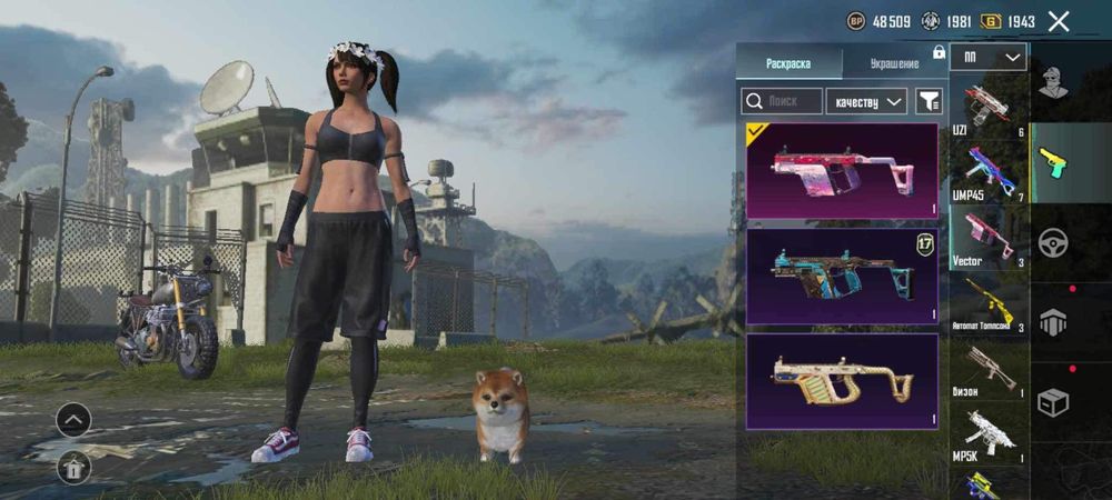 PUBG mobile Account