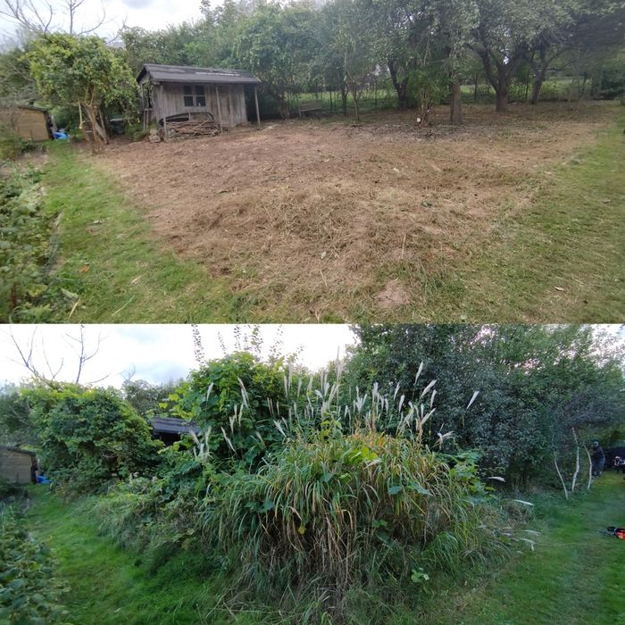 Porządkowanie ogrodów ROD Karczowanie Koszenie Wycinka Sianie Wywóz