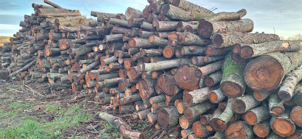 Drewno opałowe w wałkach,  łupane