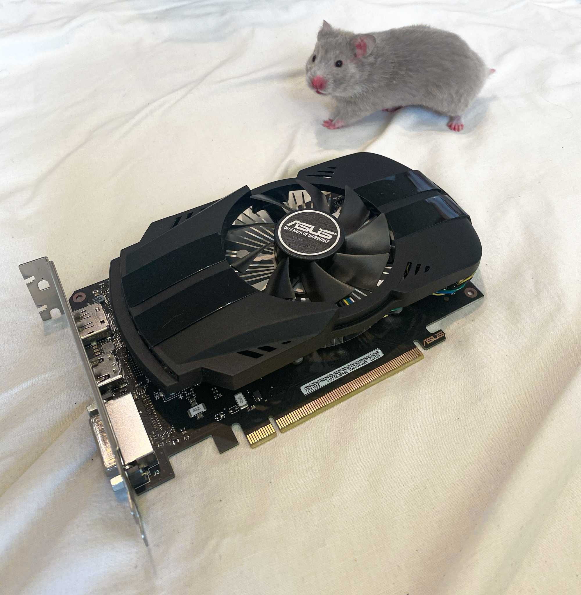 Відеокарта Asus GeForce GTX 1650 Phoenix OC 4GB GDDR6 (128bit)