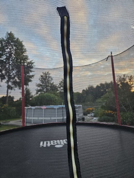 Trampolina goliath