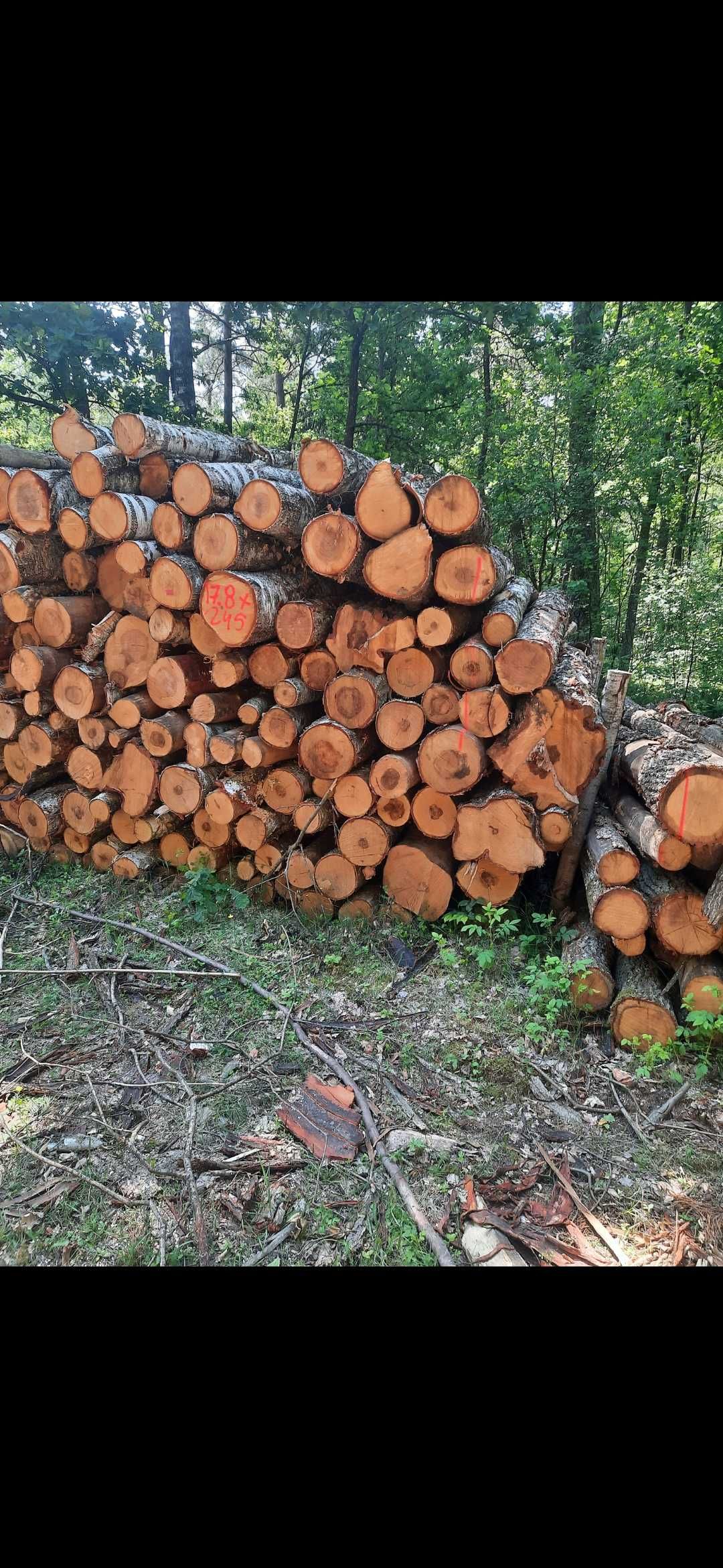 Drewno opałowe Kominkowe metry wałki do pieca