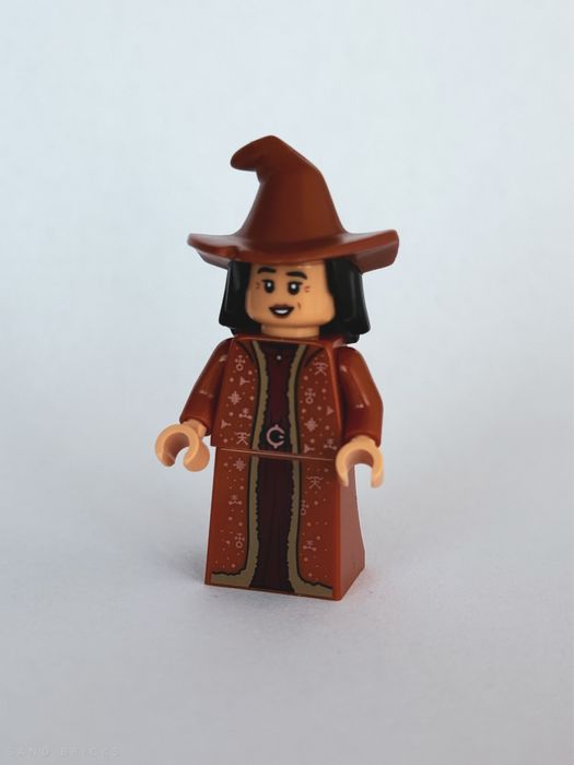 Lego Harry Potter hp485 - Profesor Vector