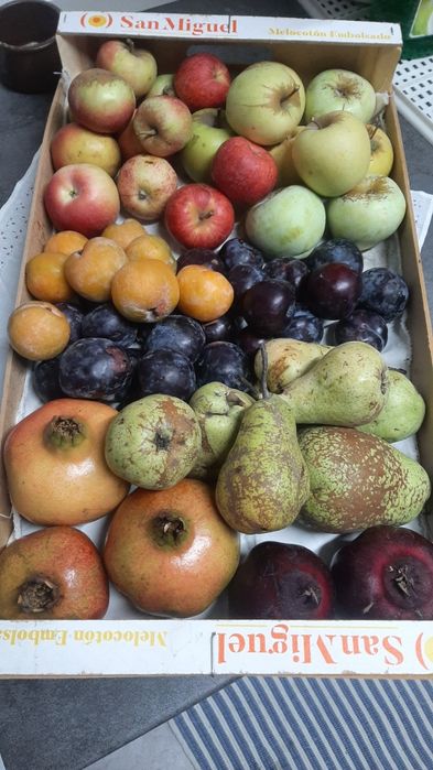 Caixas de fruta variada