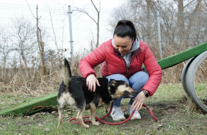 Adoptuj AKORDA-zyskaj przyjaciela