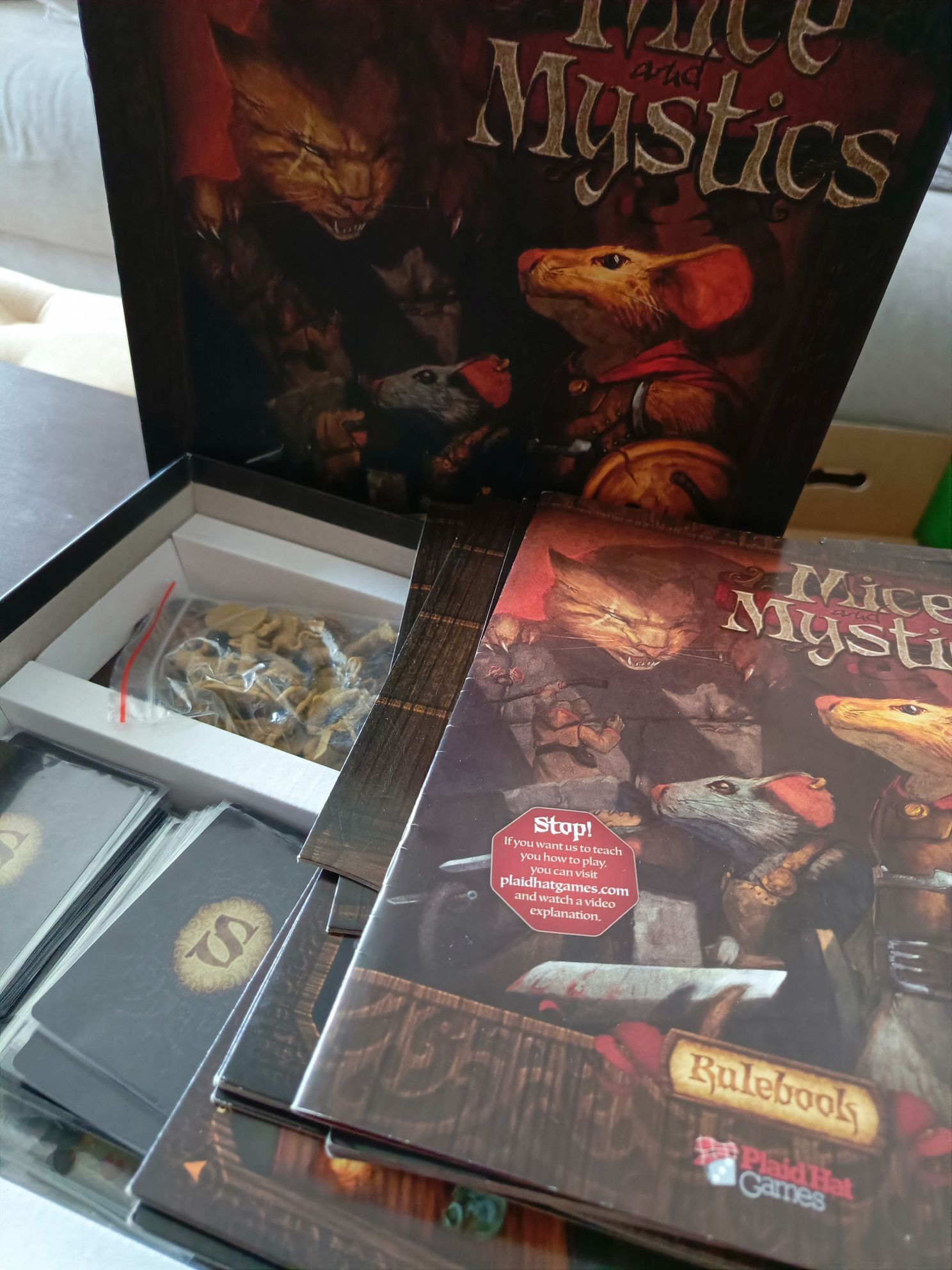 Mice and Mystics to kooperacyjna gra przygodowa