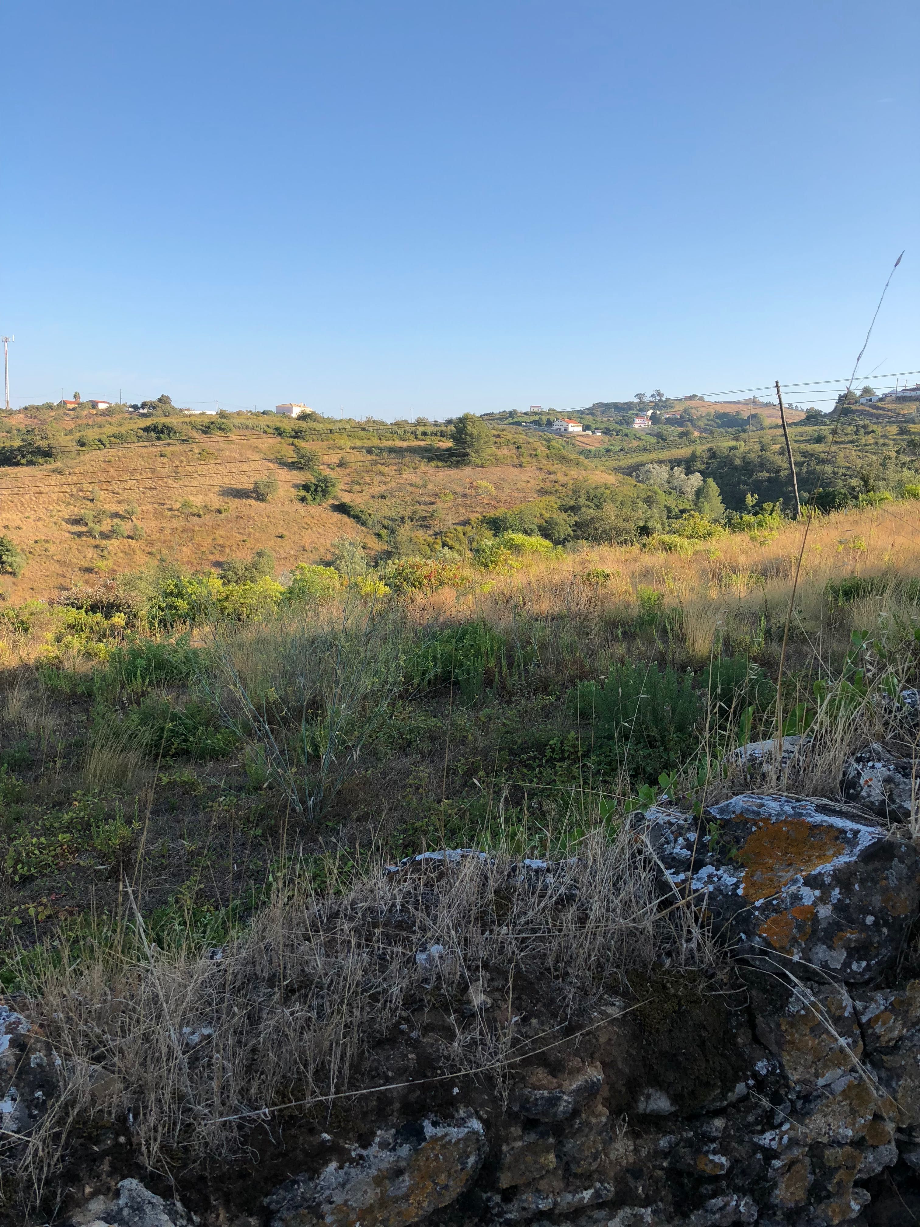 Terreno Rústico com viabilidade de construção com vista espetacular