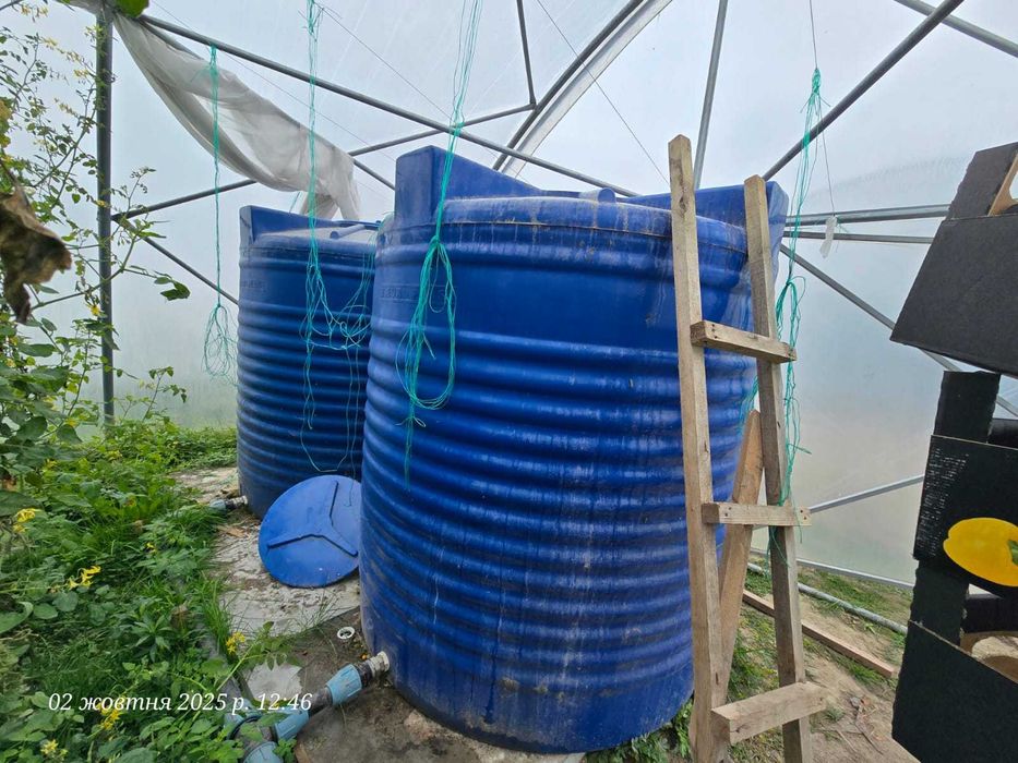 Продаж тепличного комплексу 32 теплиці (16 000 м2), Київська область