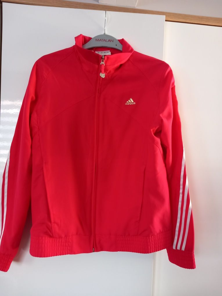 Bluza Adidas kurtka 152