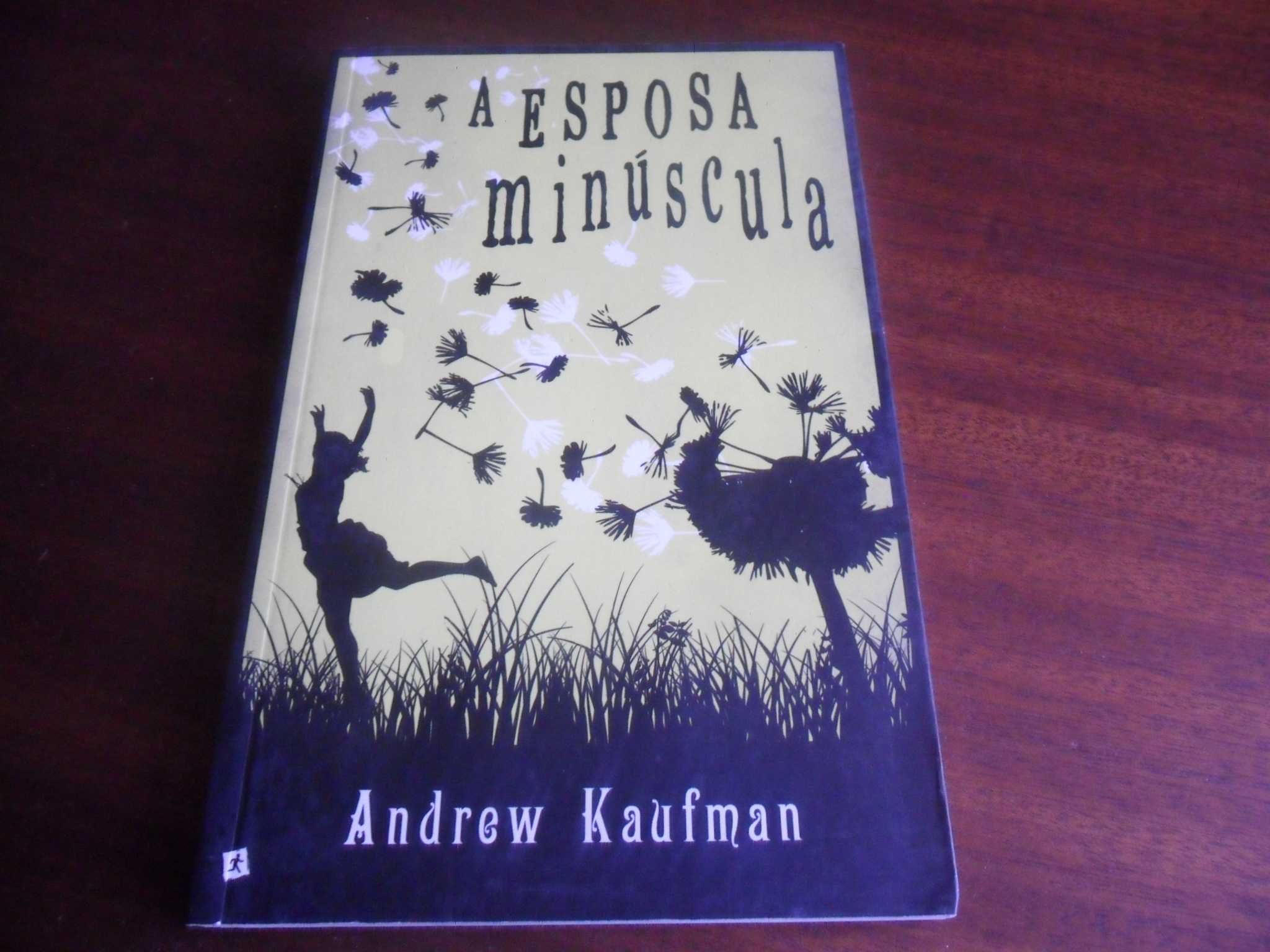 "A Esposa Minúscula" de Andrew Kaufman - 1ª Edição de 2014