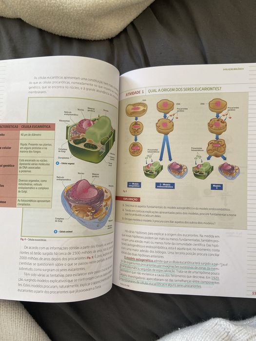 Terra, Universo de Vida - Biologia e Geologia 11° ano