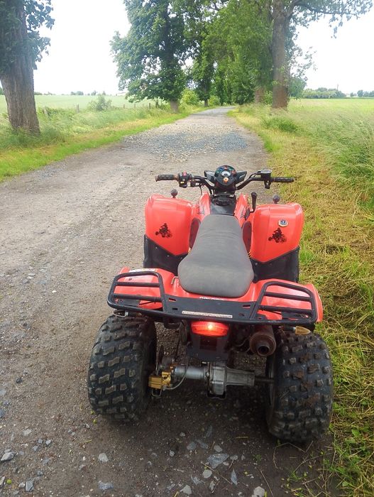 Polaris phoenix 200