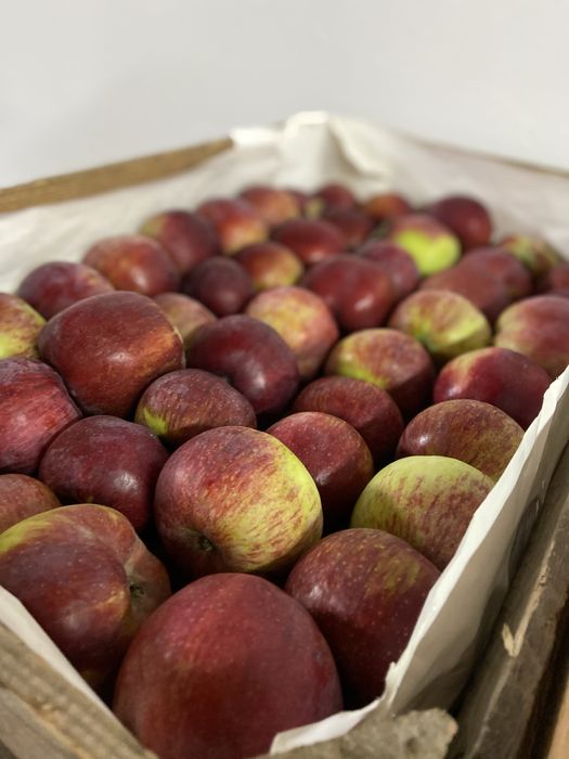 Jabłka Gruszki Sprzedaż