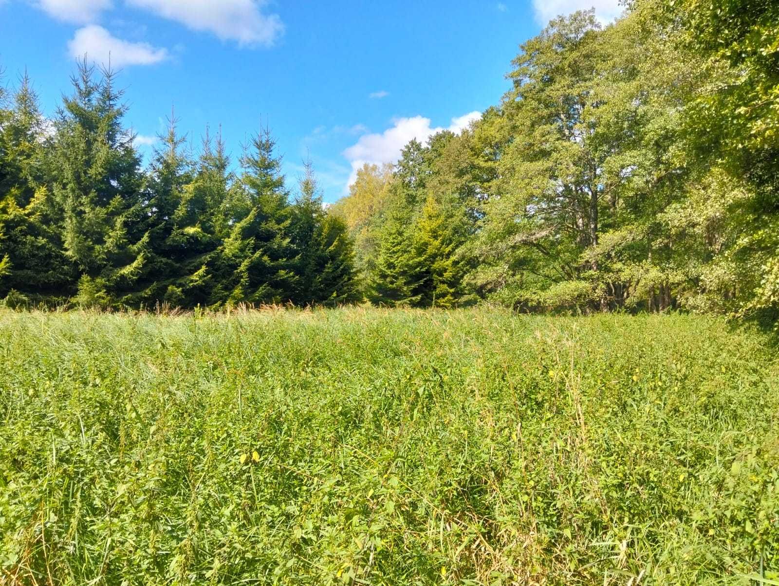 Działka  0,30 ha,  Koszalin 9 km,  Szczeglino,  PRĄD, MPZP, Rzeka