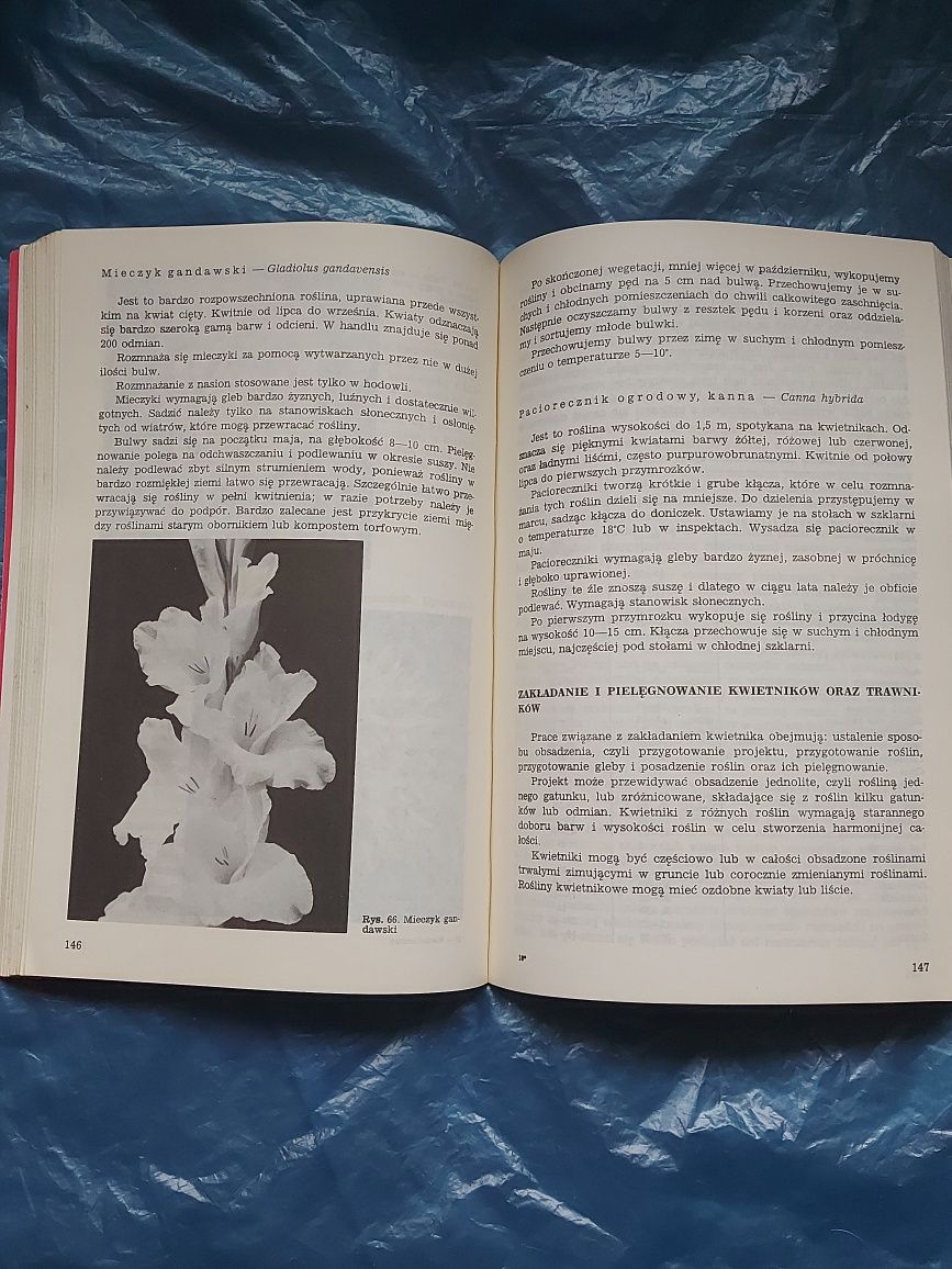 Książka kwiaciarstwo dla szkół ogrodniczych 1986rok