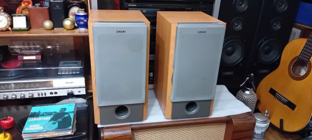 Colunas  Sony  SS-NX1