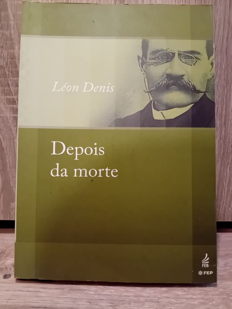 Depois da Morte - Léon Denis