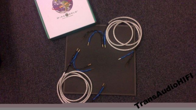 WireWorld Solstice 10 kable głośnikowe szpula Trans Audio Hi-Fi