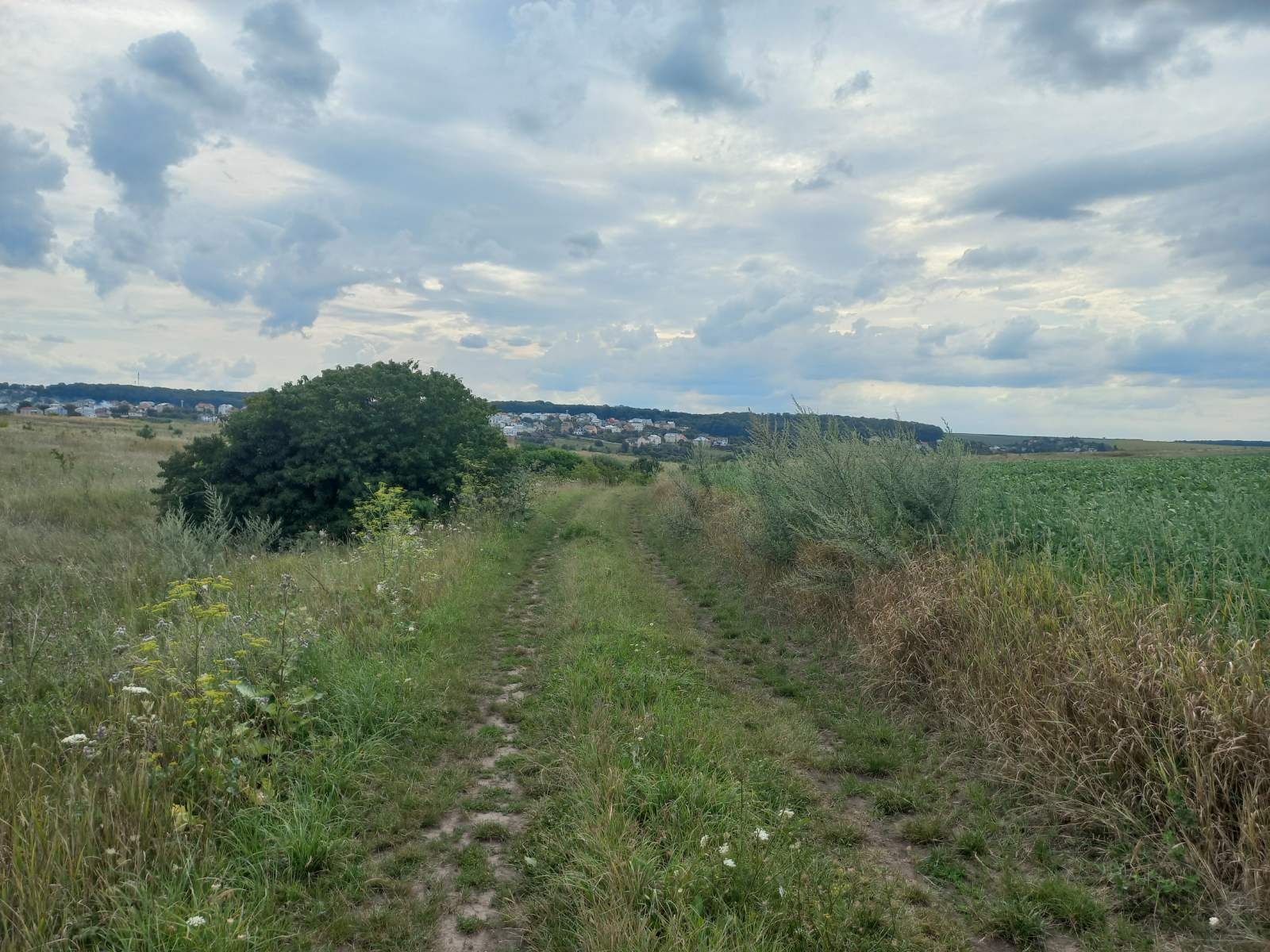 Підгороднє Продається зем. ділянка з лівого боку при вїзді в Тернопіль