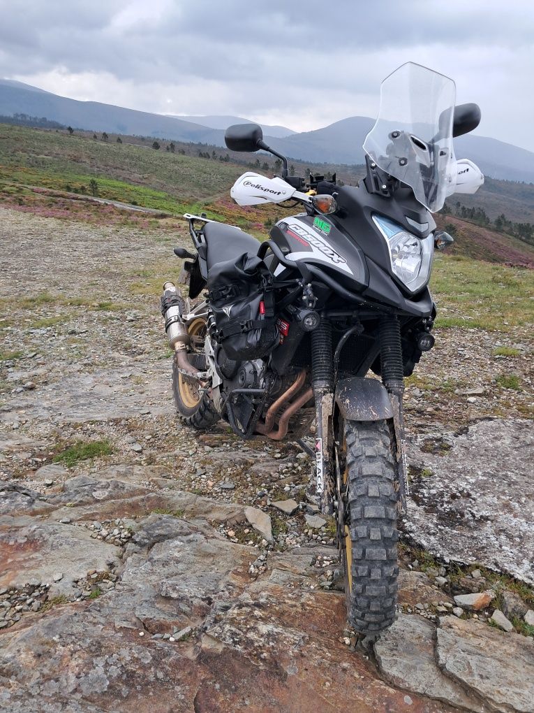 Honda Cb500x rally raid