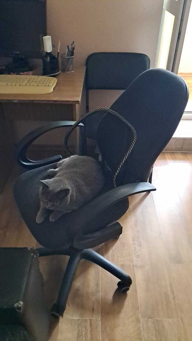 Крісло офісне б/в на запчастини, або перелицювання оббивки