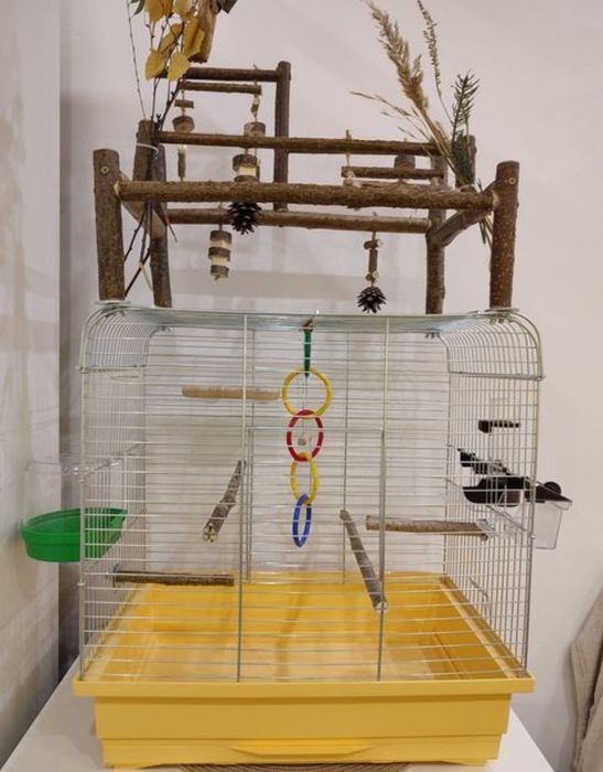 Стенд для папуг, ігрова зона, клітки, стенди, ігровий майданчик