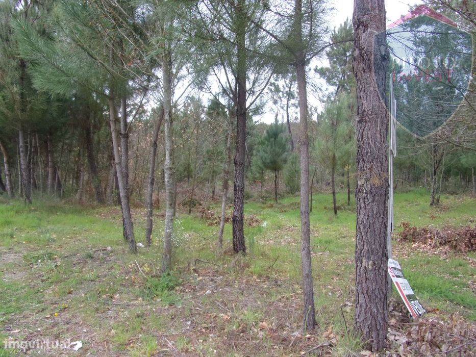 Terreno Para Construção  Venda em Silgueiros,Viseu