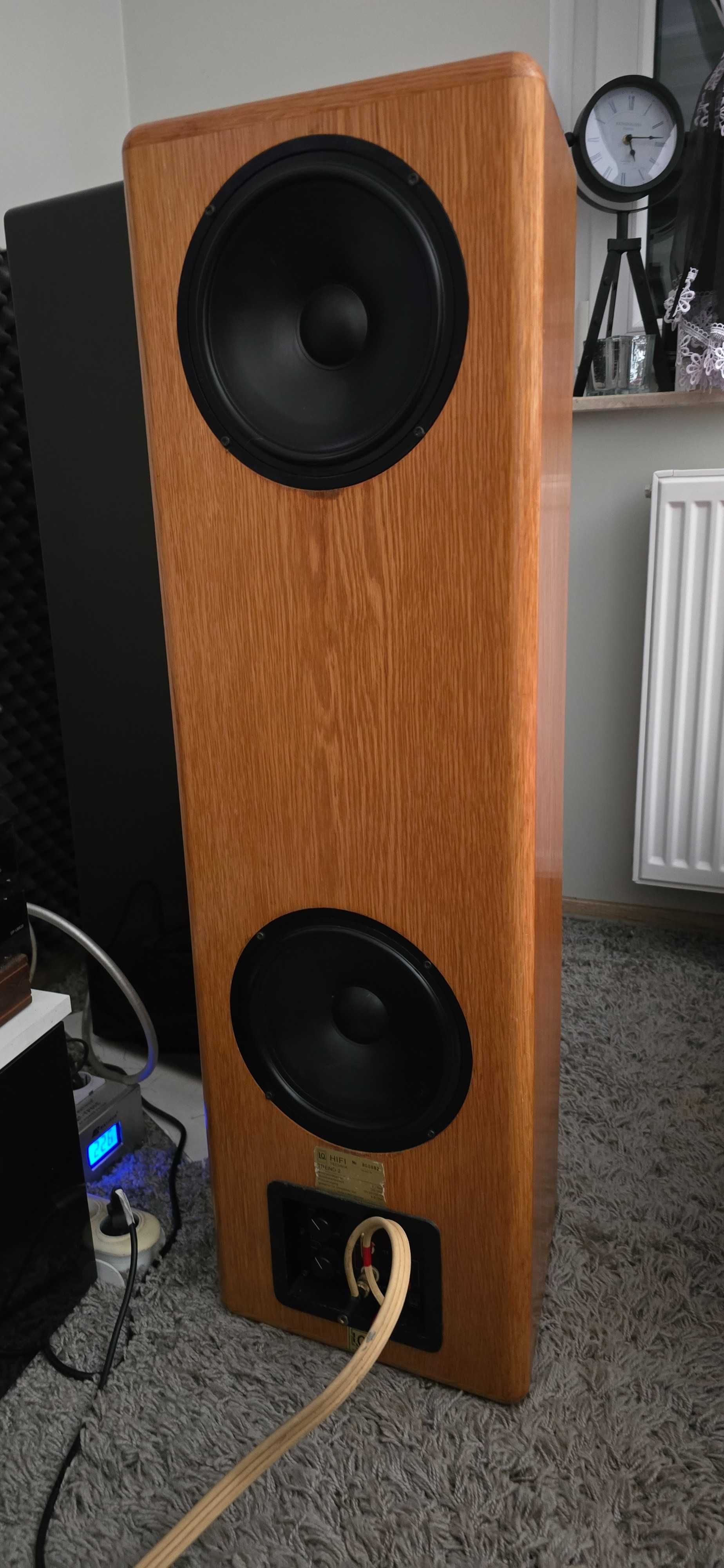 Kolumny IQ Trend +streamer  wzmacniacz Naim 2