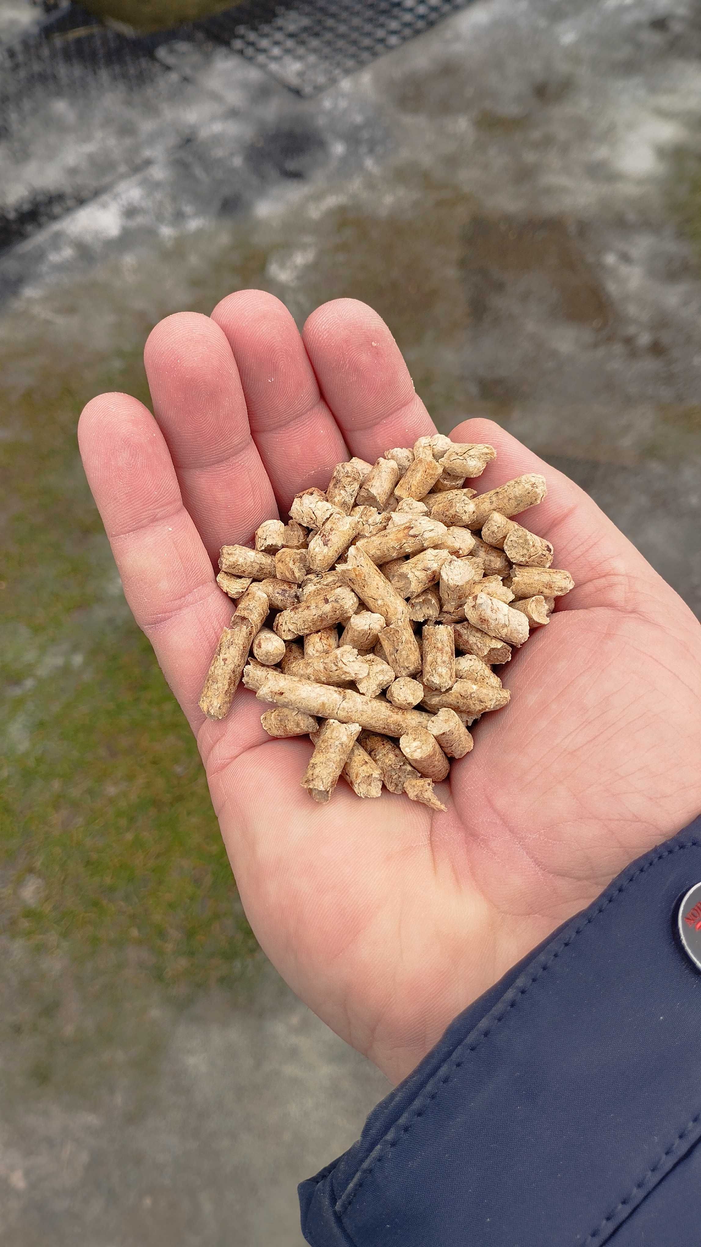 Паливні пелети з деревини, гранули, pellets