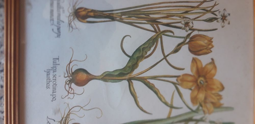 Quadro Antigo Decorativo