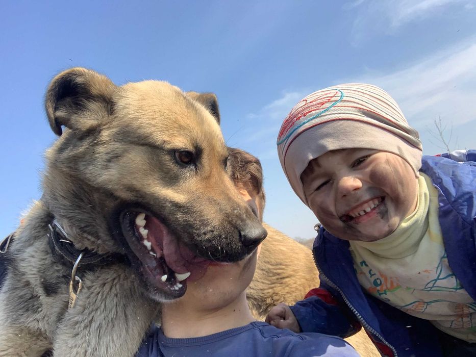 Гарний кобель для сучки