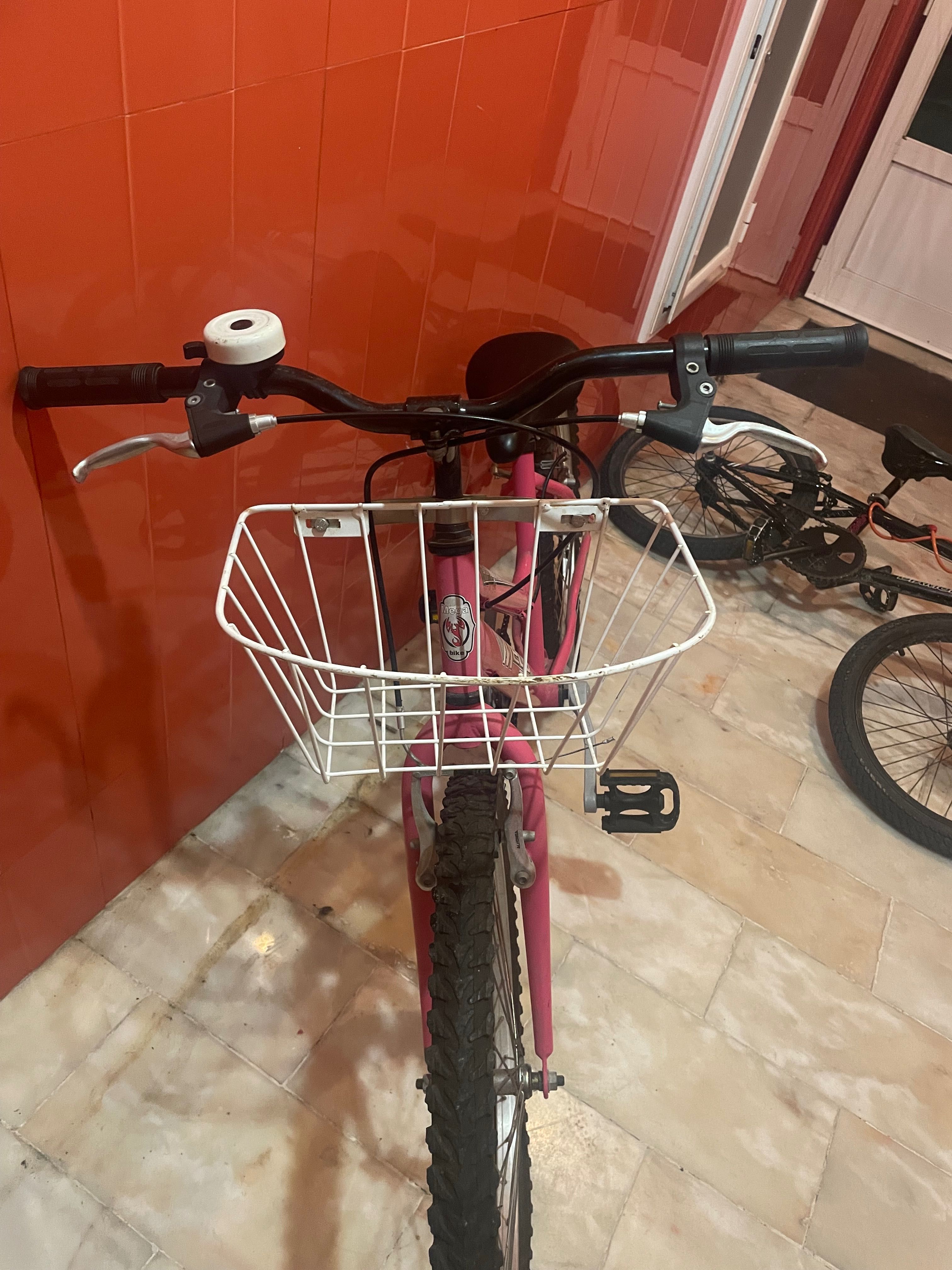 .Bicicleta rosaa