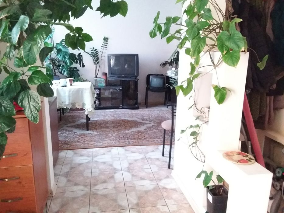 Будинок в передмісті Кривого Рогу