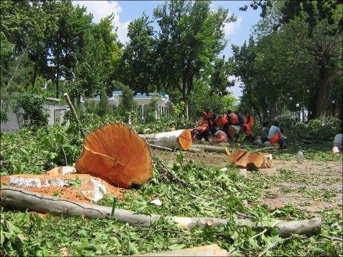 Уборка расчистка участка, территории Демонтаж домов Вывоз снега