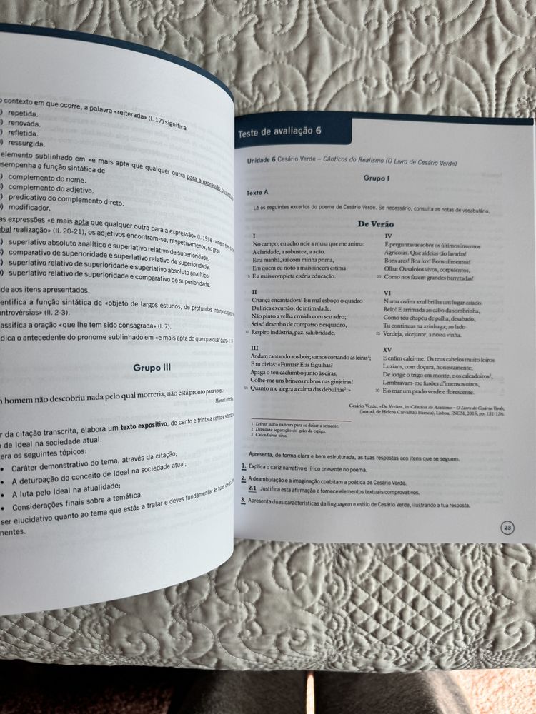 Caderno de atividades Portugues 11 ano Mensagens
