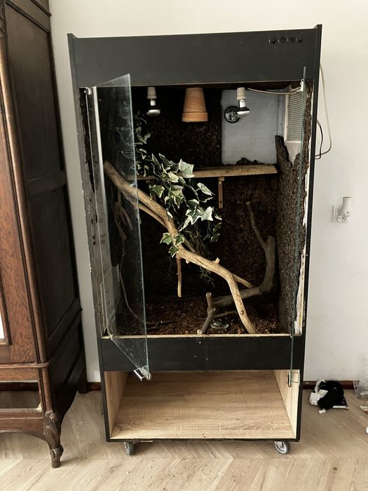 Terrarium dla jaszczurek