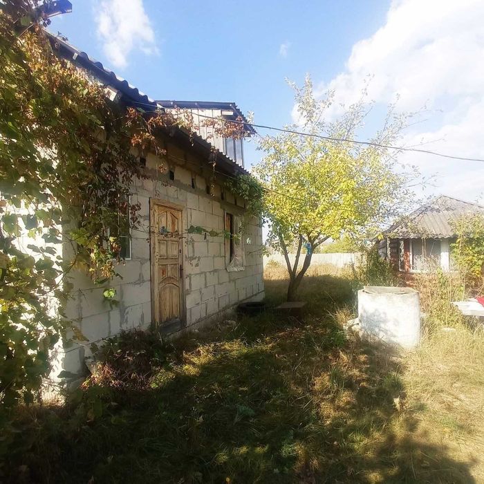 Я Продам дачу, Кам’яна Гора, масив Борковський