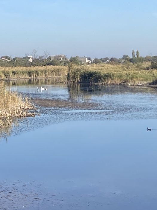 У продажу земельна ділянка, перша ліния річки, с.Піщанка,