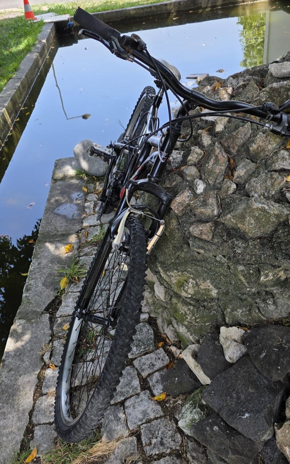 Bicicleta GKX DS300