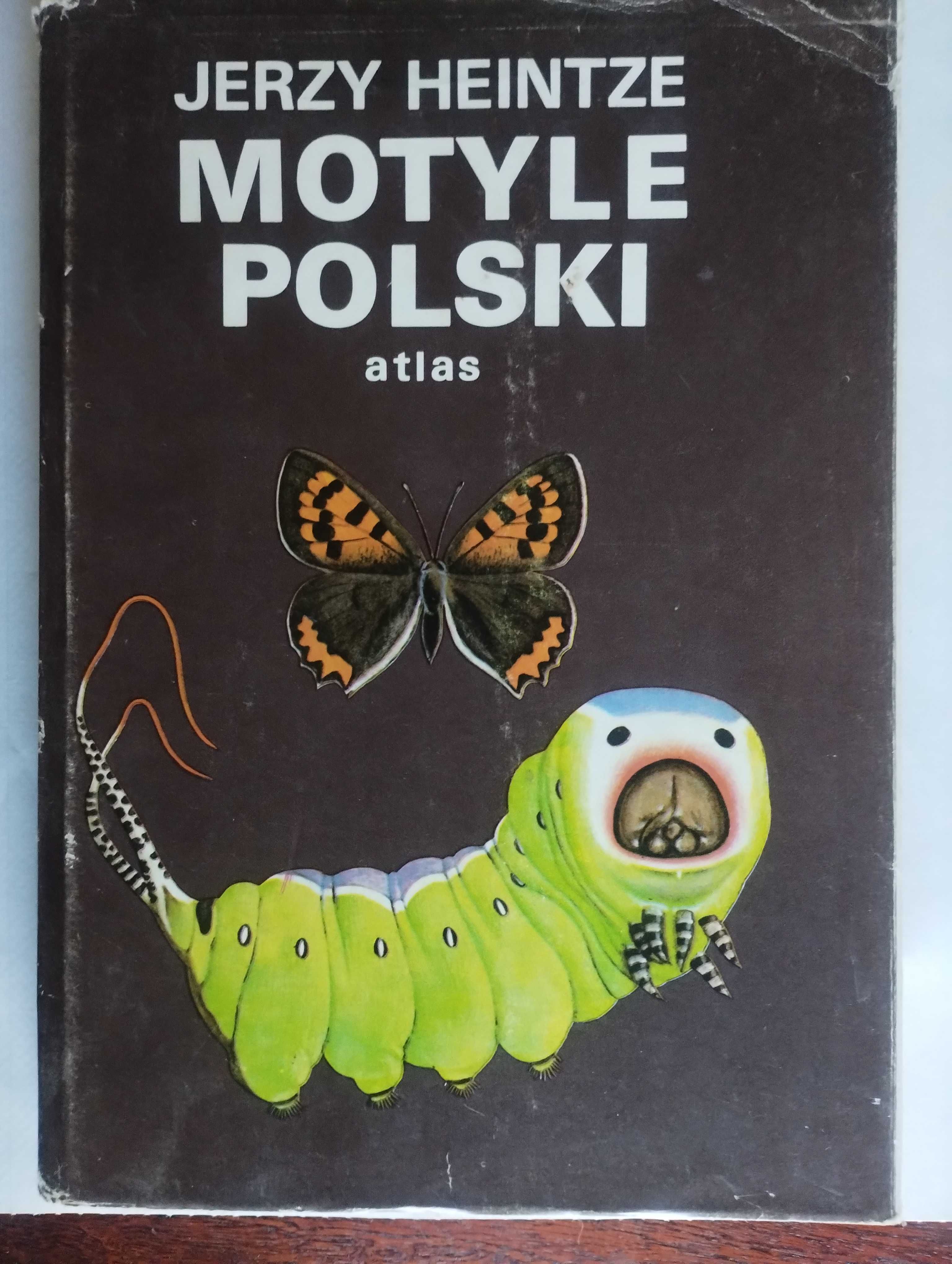 Motyle Polski Atlas. Część pierwsza