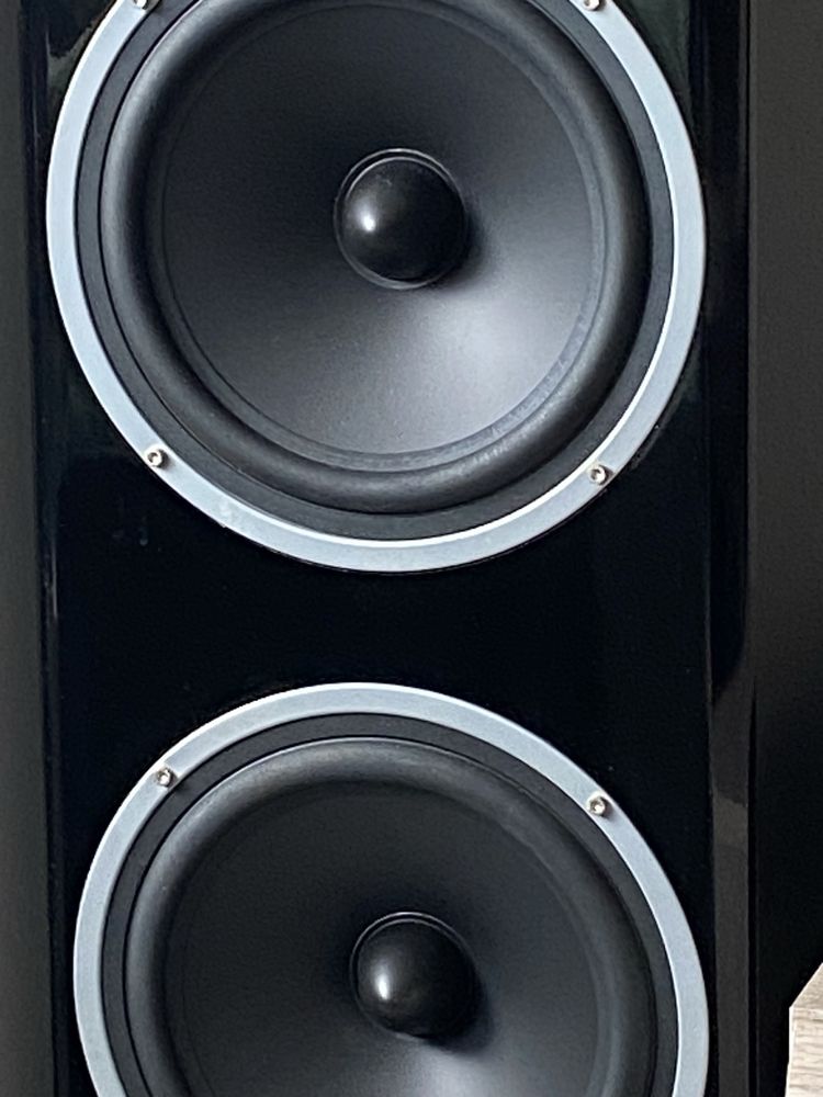 Kolumny głośnikowe firmy Sigma Audio BK -300