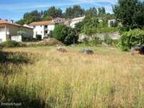 Terreno para construção com 758m2 em Moreira do Rei, Fafe