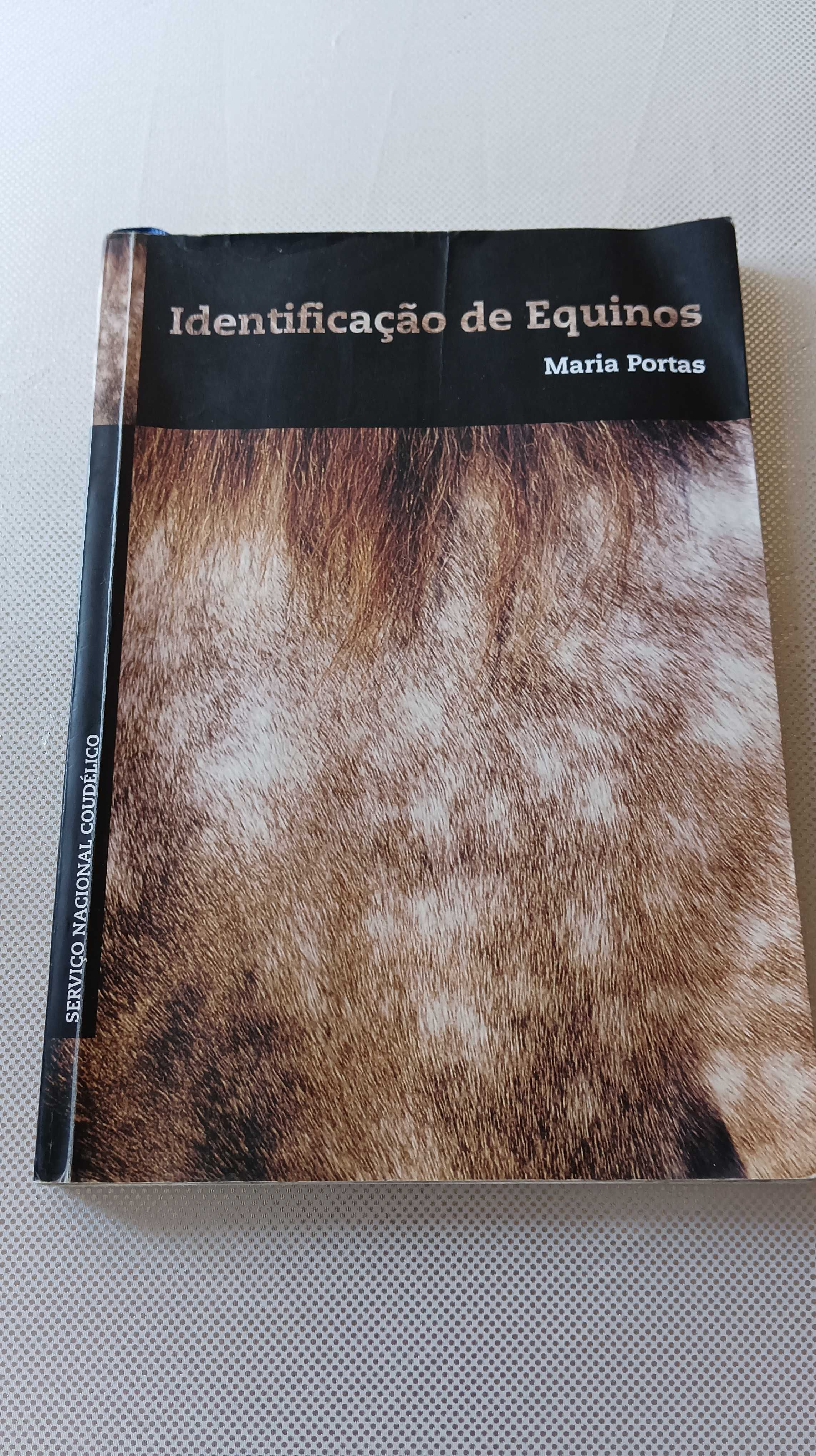 Identificação de equinos - Maria Portas