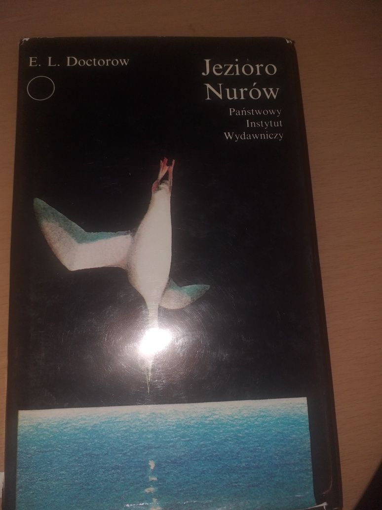 E. L. Doctorow "Jezioro Nurów"