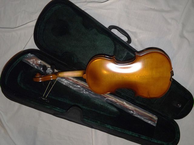 Violino de madeira natural