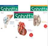 Atlas Sobotta 3 tomy m. Angielskie FOLIA