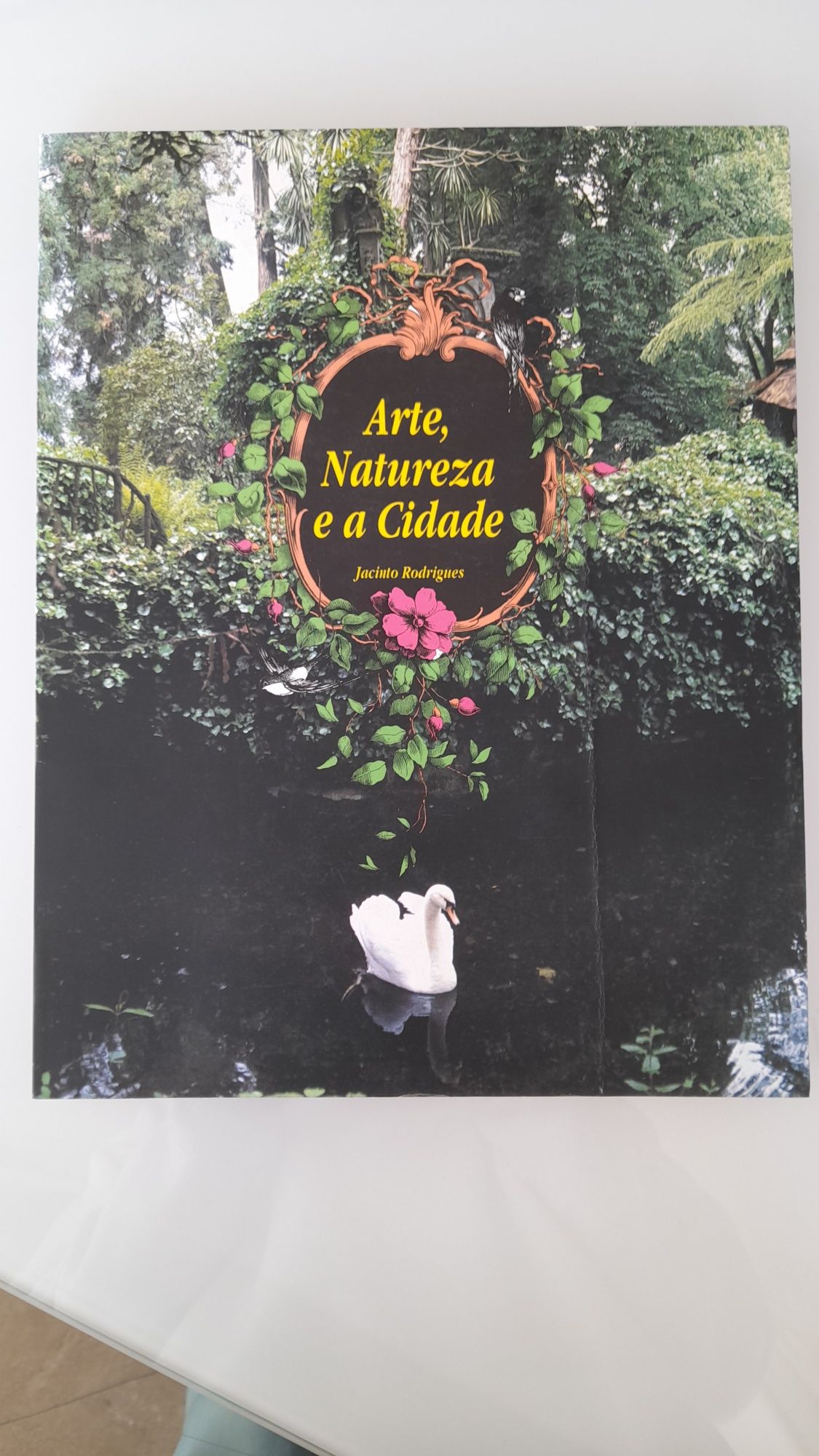 Livro Arte, Natureza e a Cidade Jacinto Rodrigues