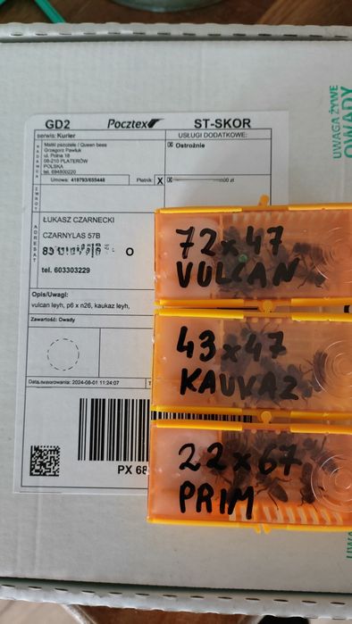 Odkłady pszczele na 5 ramkach wielkopolskich